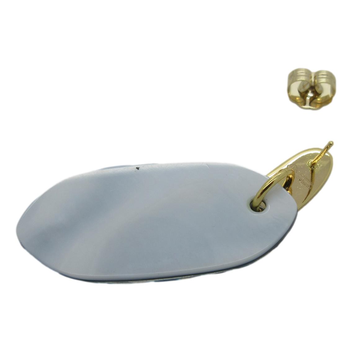 <i>Striking Abalone Earrings</i>